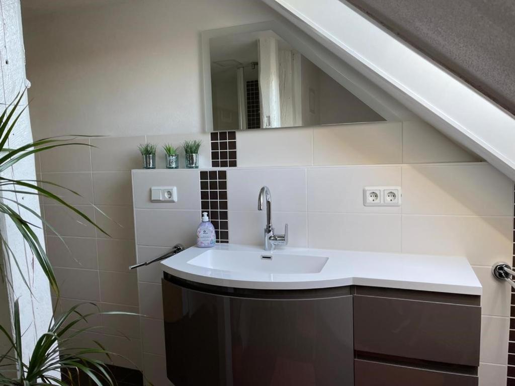 Ferienwohnung Kreft Thale Zewnętrze zdjęcie